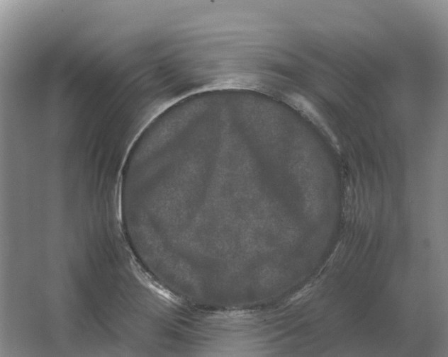 X0000064061276200602171727
