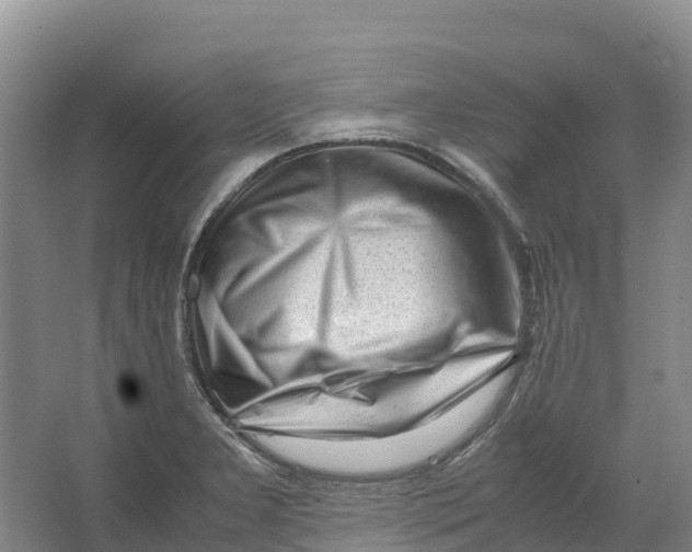 X0000064061277200602171727