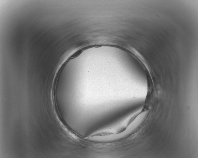 X0000064061293200602171727