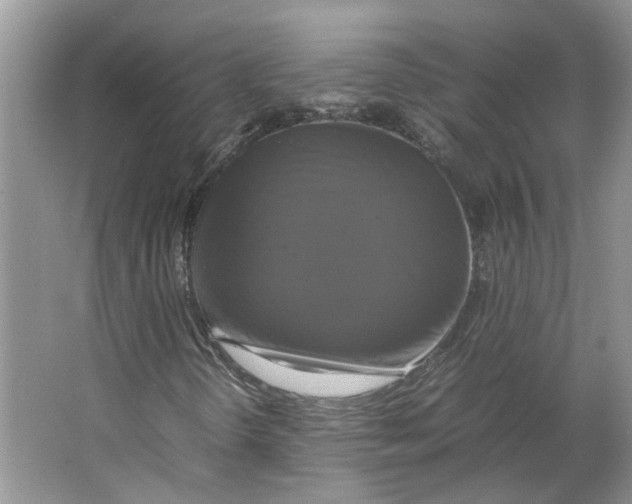 X0000064061298200602171726