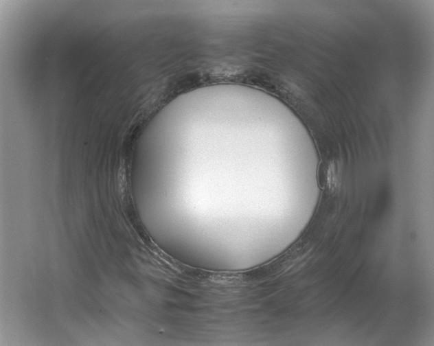 X0000064061299200602171726