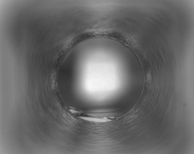 X0000064061300200602171726