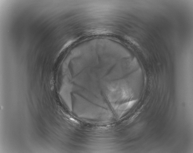 X0000064061306200602171726