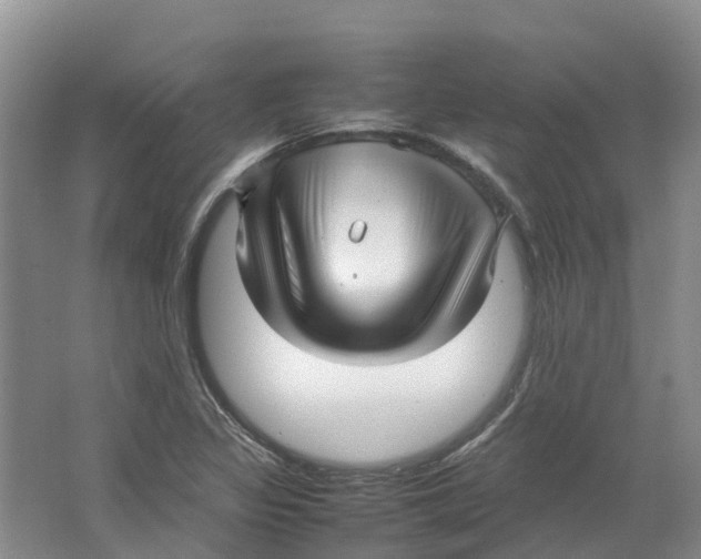 X0000064061317200602171726