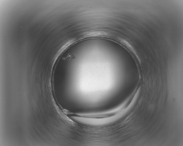 X0000064061330200602171726