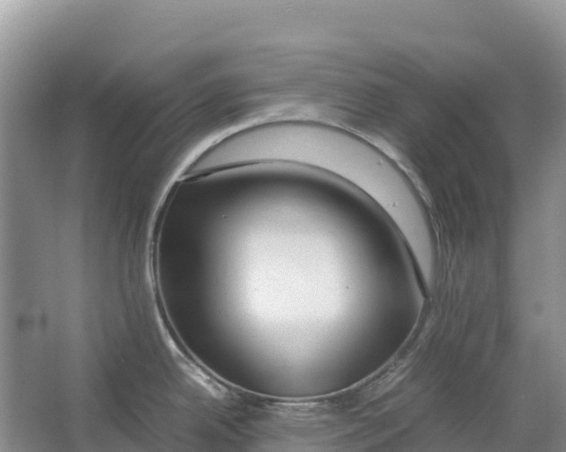 X0000064061342200602171727