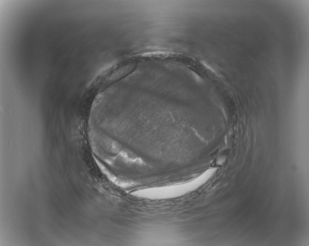 X0000064061351200602171726