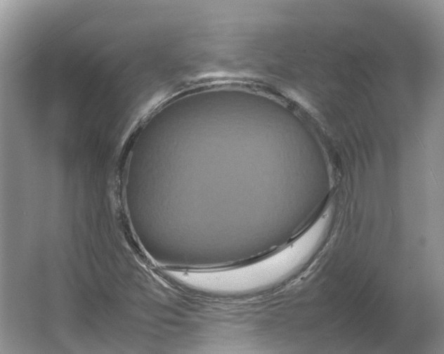 X0000064061357200602171726
