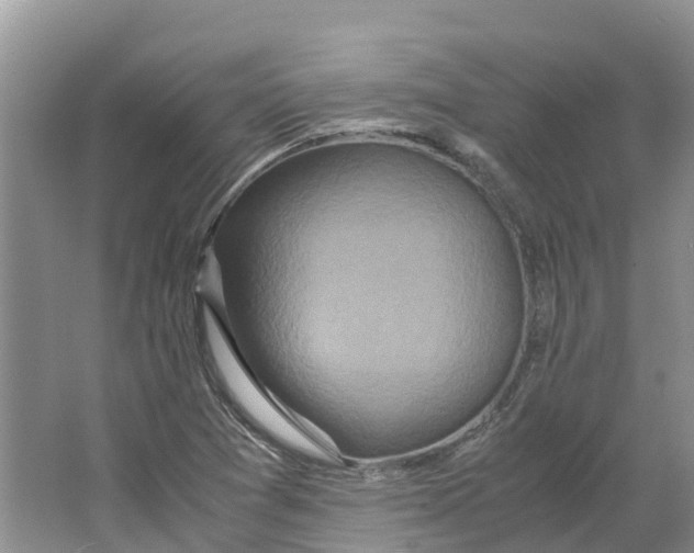 X0000064061361200602171726