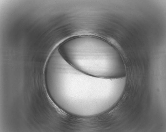 X0000064061380200602171725