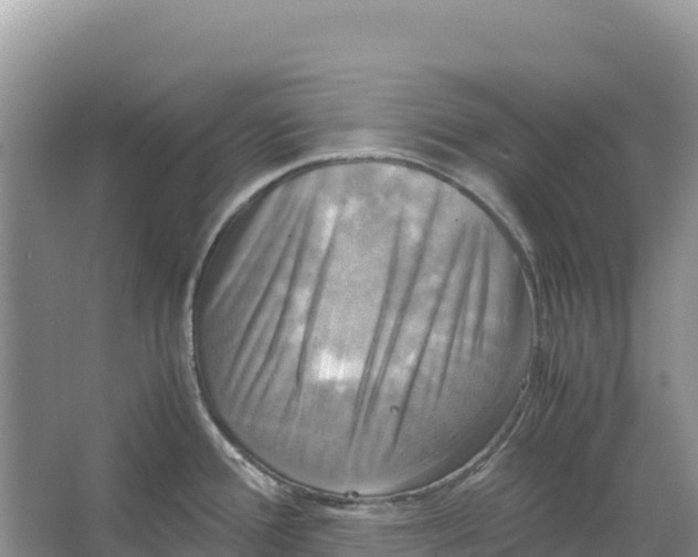 X0000064061388200602171725