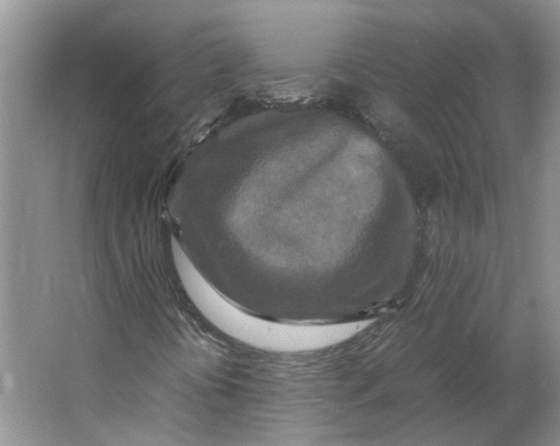 X0000064061394200602171724