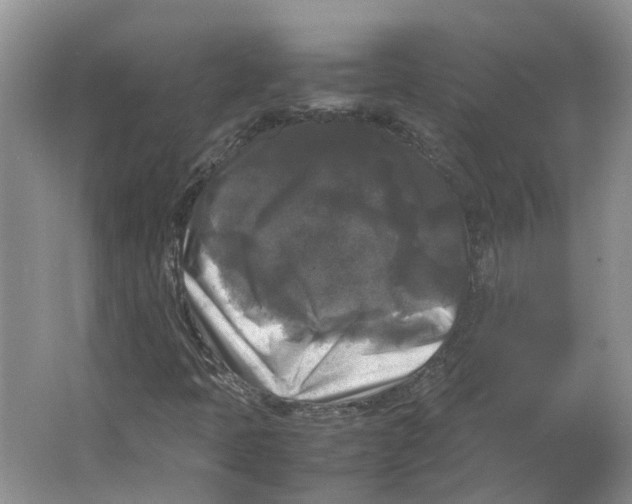 X0000064061397200602171724