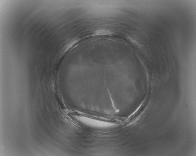 X0000064061401200602171724