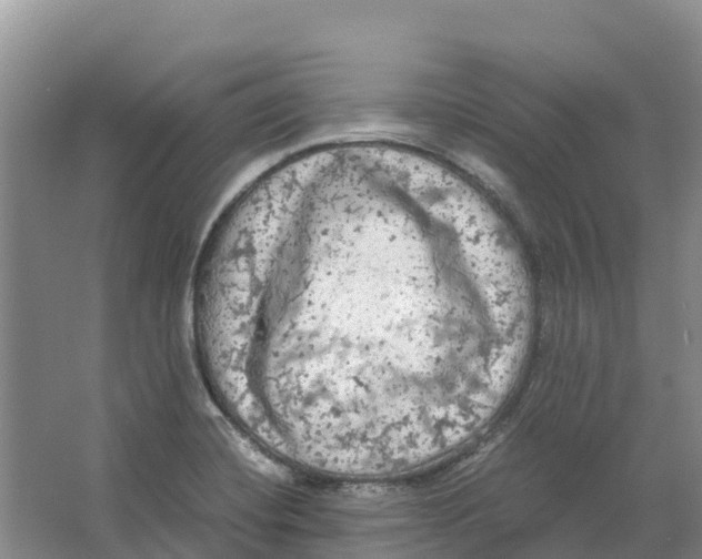 X0000064061420200602171725