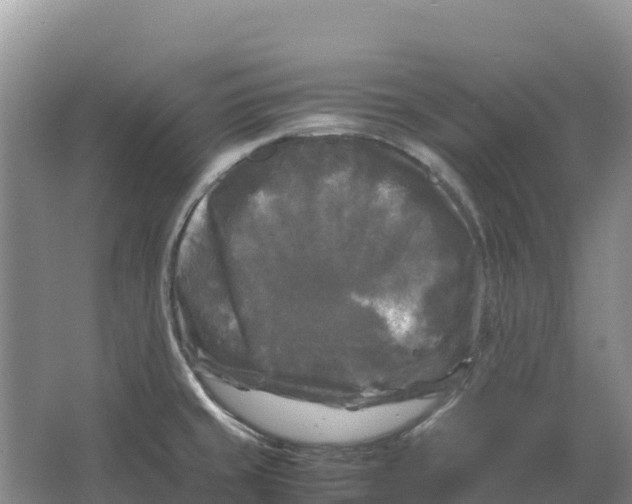 X0000064061429200602171725