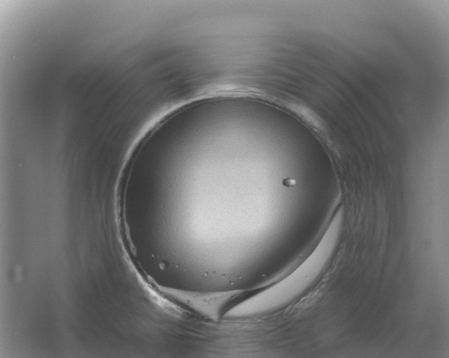X0000064061430200602171725