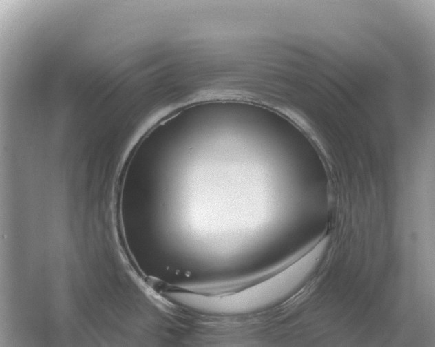X0000064061438200602171725