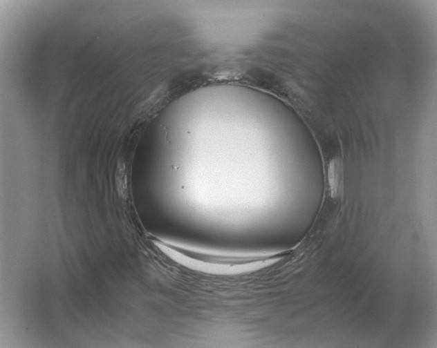 X0000064061443200602171724