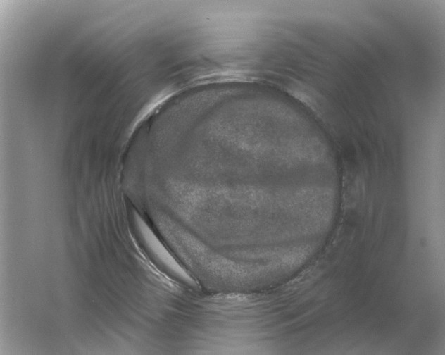 X0000064061450200602171724