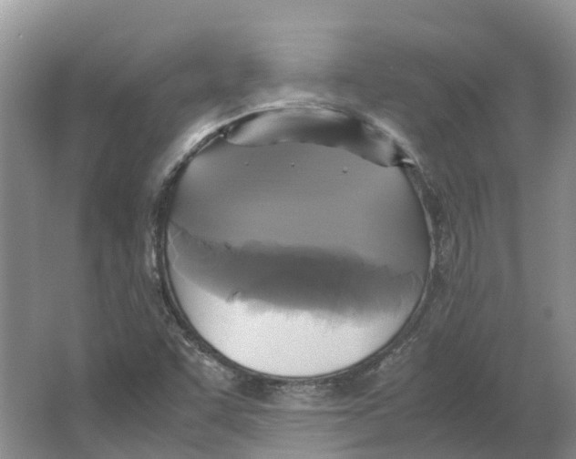 X0000064061455200602171724