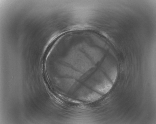 X0000064061459200602171724