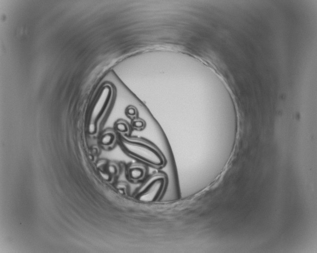 X0000064060001200602250022