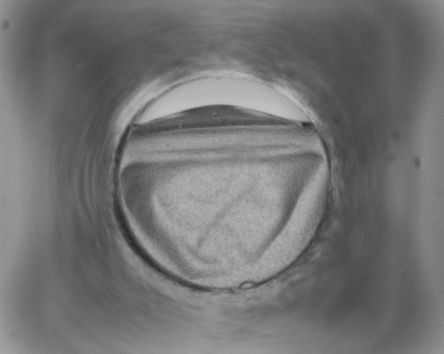 X0000064060007200602250022