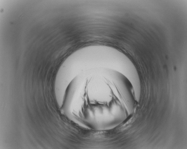 X0000064060078200602250021