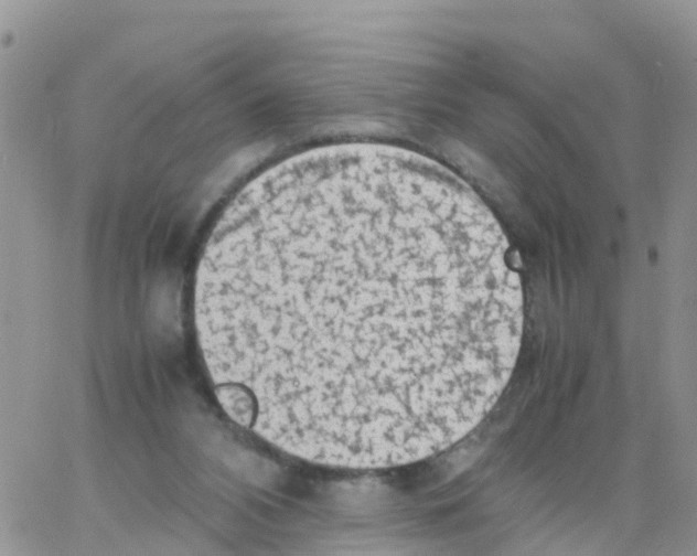 X0000064060112200602250020