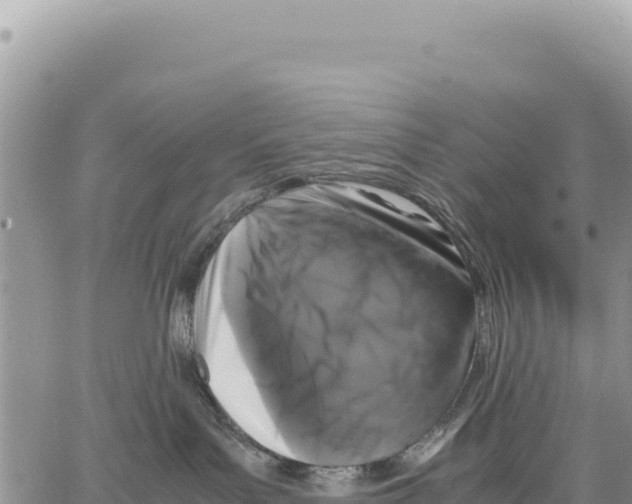 X0000064060143200602250020
