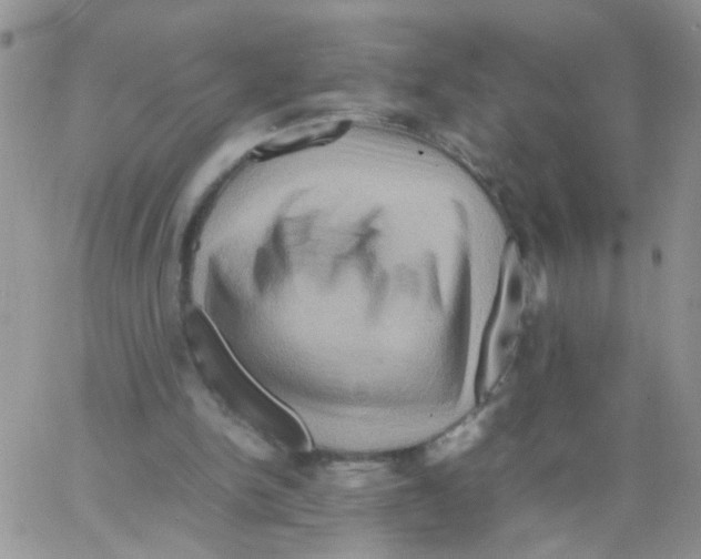 X0000064060150200602250019
