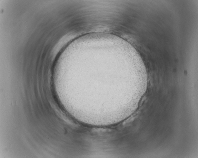 X0000064060242200602250018