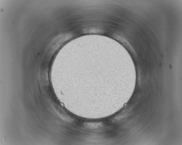 X0000064060251200602250018