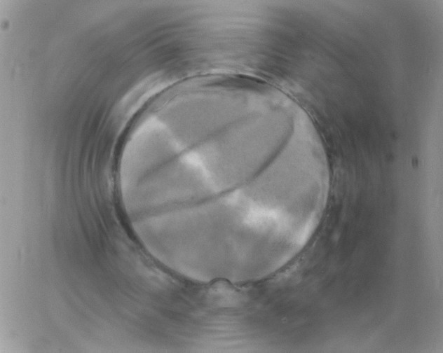 X0000064060290200602250017