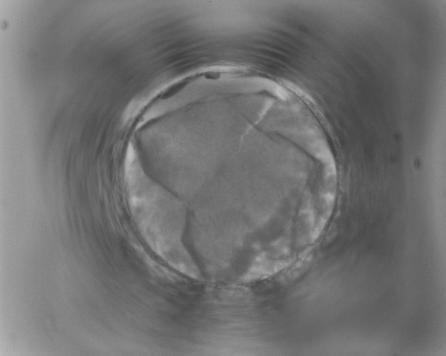 X0000064060337200602250016