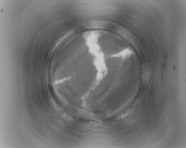 X0000064060386200602250016