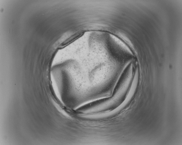 X0000064060389200602250016