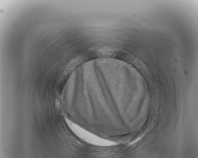 X0000064060432200602250015