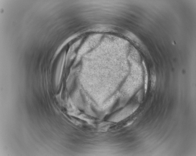 X0000064060484200602250014