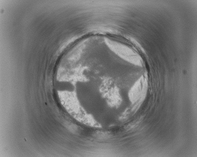 X0000064060487200602250014