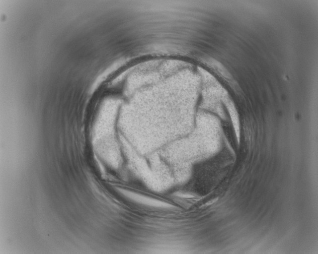 X0000064060488200602250014