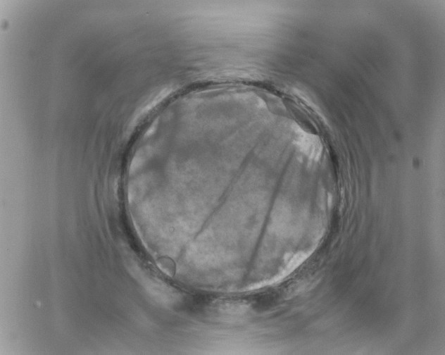X0000064060491200602250014