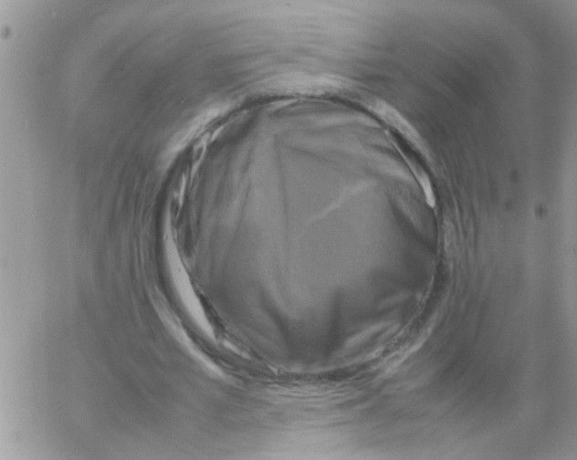 X0000064060581200602250013