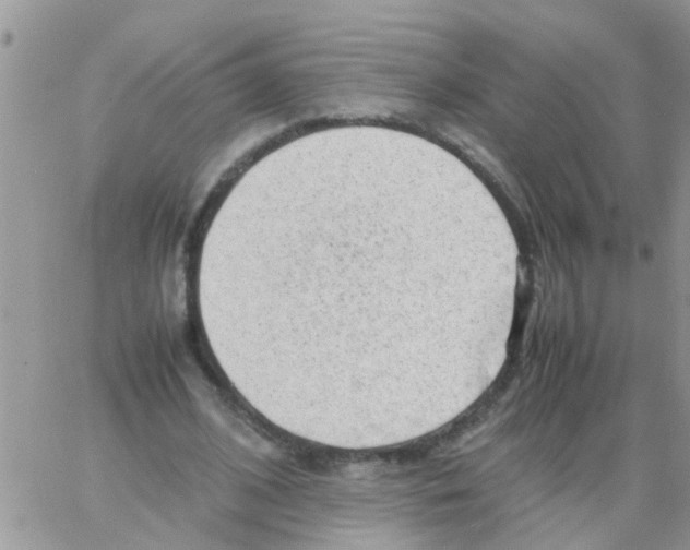 X0000064060584200602250013