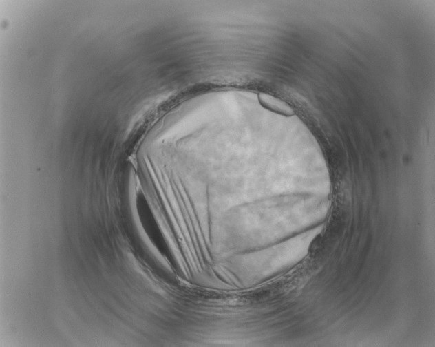 X0000064060688200602250011