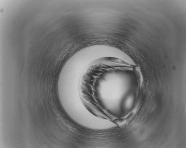 X0000064060750200602250010