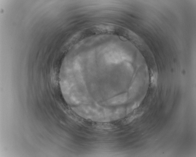 X0000064060819200602250008