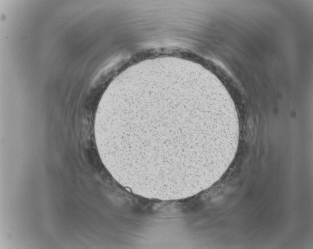 X0000064060967200602250006