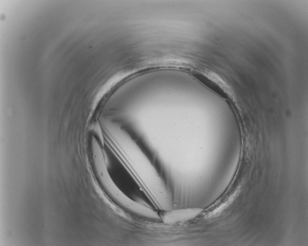 X0000064060989200602250006